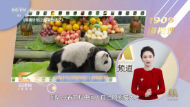 妻子的背叛